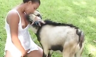 bestiality xxx porn