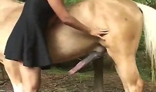 Tube4Zoo