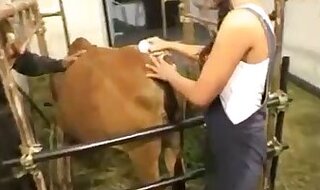 ZOO Porn and Animal sex video